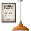 LEDSone Lampada a sospensione retrò E27 32 cm, lampada da soffitto in metallo, stile vintage, cavo regolabile - Faretto bianco per cucina, sala da pranzo, bar, caffetteria, ufficio (Arancia)