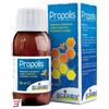 BOIRON Srl PROPOLIS BOIRON 60 ML