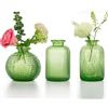 EylKoi Piccoli vasi in vetro - decorazione da tavolo, trasparente, varie forme, decorazione per matrimoni, mini vasi (1 set, 2# verde)