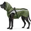 Oslueidy Impermeabile per Cani Cappotto Cane Ombrello per Cani Vestiti Mantellina Pioggia Cane per Piccoli Medio Grandi Cuccioli S-XXL (Verde S)