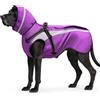 Oslueidy Impermeabile per Cani Cappotto Cane Ombrello per Cani Vestiti Mantellina Pioggia Cane per Piccoli Medio Grandi Cuccioli S-XXL (Violetta, S)