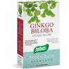 Ginkgo biloba 40 capsule