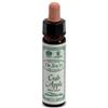 AINSWORTHS CRAB APPLE 10ML