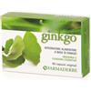 FARMADERBE Ginkgo biloba 60 capsule - FARMADERBE - 905014460