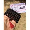 5 Mukhi RUDRAKSHA Black Rudraksh Mala ROSARIO 108+1 Prayer Bead 8mm