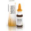 Guna spa Euphorbium Compositum Spray Nasale 20Ml