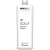 Framesi Morphosis Scalp De Stress Shampoo 1000ml - shampoo lenitivo cute sensibile