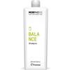 Framesi Morphosis Balance Shampoo 1000ml - shampoo seboequilibrante capelli grassi
