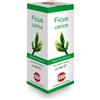 KOS Srl FICUS CARICA MG 100ML GTT