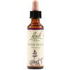 SCHWABE PHARMA ITALIA Srl WATER VIOL BACH ORIG 20ML