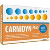 CARNIDYN PLUS 20BUST