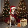Delìpet - Pandoro per Cani "Dolce Natale" 80 g