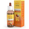 Guna Resource Enerjoy - fiori di bach energia e vitalità, 20 ml