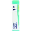 Boiron Ledum Palustre 7CH Rimedio Omeopatico in Globuli, 1g
