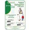 Farmacare Salvagesso Gamb 6pz Bust