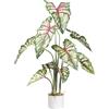 Pianta artificiale Syngonium - kaiserkraft