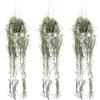 Pianta artificiale tillandsia pendente - kaiserkraft