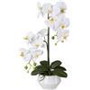 Orchidea artificiale Phalaenopsis, Real Touch - kaiserkraft