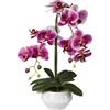 Orchidea artificiale Phalaenopsis, Real Touch - kaiserkraft