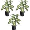 Pianta artificiale Syngonium Pixie - kaiserkraft