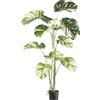 Pianta artificiale Monstera deliciosa - kaiserkraft