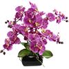 Flair Flower Orchidea Finta, Fiore Finto di Seta, con Foglie, boccioli e Radici aeree, in Vaso di Ceramica, phalaenopsis, Decorazione per Matrimonio, Realistico