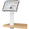 AboveTEK Supporto da scrivania per iPad, supporto per tablet antifurto regolabile con rotazione a 360° e inclinazione a 180°, adatto a tablet da 9,7 a 13, perfetto per il lavoro-Argento