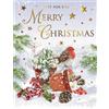 Piccadilly Greetings Regal Publishing Biglietto di Natale aperto Just for you con pettirosso - 20,3 x 15,2 cm