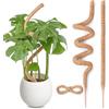 SPROUTMAVEN Totem di Cocco Pieghevole, SproutMaven 2 x 160cm Bastone di Muschio Supporto per Piante Rampicanti Paletti di Piante Sottili Fatti a Mano per Piante da Interno