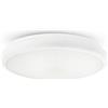 HUBER DL 21 Lampada da soffitto a LED per interni ed esterni, 2000 lm, 20 W, IP54, adatta come lampada da bagno, corridoio, cantina