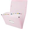 Grafoplás Grafoplas - Cartella a soffietto, formato a foglio, colore rosa soffice, 13 posizioni, poli semi-rigido opaco, con etichetta per visori, perfetto raccoglitore documenti scolastici e ufficio