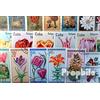 Prophila Collection Motivazioni 100 Diversi Fiori e Piante Francobolli (Francobolli per i Collezionisti) Piante/Funghi