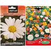 Semillas Batlle Batlle & ndash; Semi di Fiori & ndash; Margherita Gigante Leucantemum Bianca & Germisem California Mix Semi 1.5 g