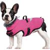 LIANZIMAU Cappotto impermeabile per cani con pettorina Cappotto invernale per cani con fodera in pile Cappotto caldo giacca riflettente per cani