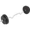 vidaXL Set per Bilanciere da 30 kg Barra Acciaio e Piastre di Peso in Cemento
