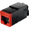 Fibrain Modulo dati Fibrain Cat. 5 Non schermato, Senza adattatore XQ100