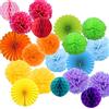 Jonami 20 pompon multicolore decorazione compleanno, pompom fiori in carta velina, ventagli e palline di carta ghirlande Deco Carnevale -20 pezzi