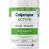 PROTEIN Sa COLPROPUR ACTIVE FRUTTI DI BOSCO 345 G