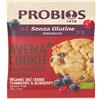 PROBIOS Avena Cookie con Mirtilli 40 g