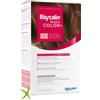 Bioscalin nutri color Bioscalin Nutricolor Plus Colorazione 6,3 Biondo Scuro Dorato