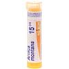 BOIRON SRL Boiron Arnica Montana 15CH Granuli Confezione da 4g 80 granuli
