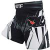 SOTF Pantaloncini da Boxe MMA da Uomo BJJ No Gi Shorts da Uomo, Grigio, L