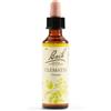 SCHWABE PHARMA ITALIA Srl CLEMATIS BACH ORIG 20ML
