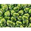 Lindt - Lindor Cuore - Pistacchio - 250 grammi