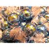 Lindt - Lindor - Stracciatella - 1000 grammi