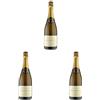 Monthuys Pere Et Fils Monthuys Père & Fils Champagne Pinot Meunier reserve Brut - 750 ML (Confezione da 3)