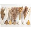 Vortix Set di 128 pampa, decorazione stile bohémien, bouquet fiori secchi, erba della pampa, perfetto per fai da te, vaso, tavolo da pranzo, camera da letto, soggiorno, bagno e arte da parete