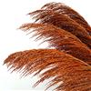 penepico Pampas Grass Decor Alto, Pampas Grandi Floreali Spugnose, Fiori di Piume Lunghe per Arredamento Boho Sala da Pranzo (8 Pezzi da 80cm/31, Arancio Bruciato)