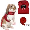AIITLE Set di pettorina e guinzaglio per conigli con grazioso fiocco, morbida pettorina in rete traspirante per conigli, gattini, furetti, cuccioli, piccoli animali domestici, forniture per