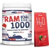 Generico Prolàbs Ram1000 500 cpr + H2O Omaggio - aminoacidi ramificati Bcaa 211 + Vitamina B1 + vitamina B6